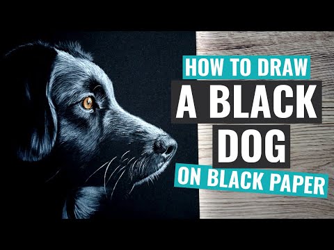 How to Draw on Black Paper - Black Dog Pitt Pastel...