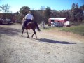 100 4425 MOV