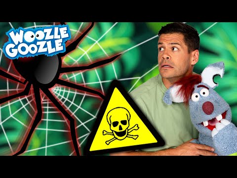 Welche Tiere sind WIRKLICH gefährlich? 😱⚠️ l WOOZLE GOOZLE