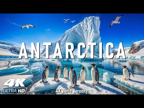 Antarctica 4K Ultra HD - Emperor Penguins, Ice Caves & The Beauty of the South Pole - Calming Music