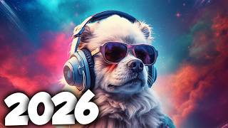 TOP ELETRO HITS 2026 🔥 AS MELHORES MÚSICAS ELETRÔNICAS DO MOMENTO | ALOK, TIESTO, DAVID GUETTA MIX