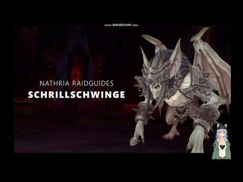 Schrillschwinge Raidguide - Schloss Nathria (Normal, LFR) | WoW