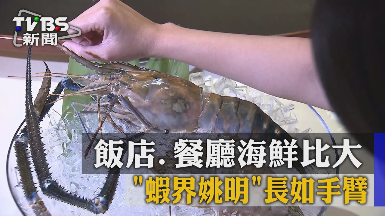 飯店、餐廳海鮮比大! 「蝦界姚明」長如手臂