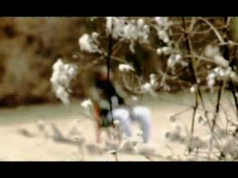 QUAME JAH - GUT GEGEN BÖSE (2008)