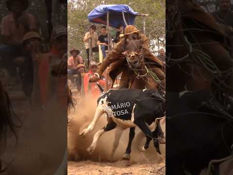 Esporte diferenciado #romariofeitosa #pegadeboinomato