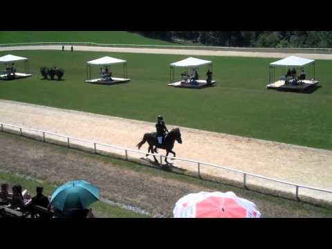 ÖM 2011 Semriach - T2-Finale - www.isibless.de