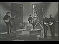 The Beatles- Day Tripper 
