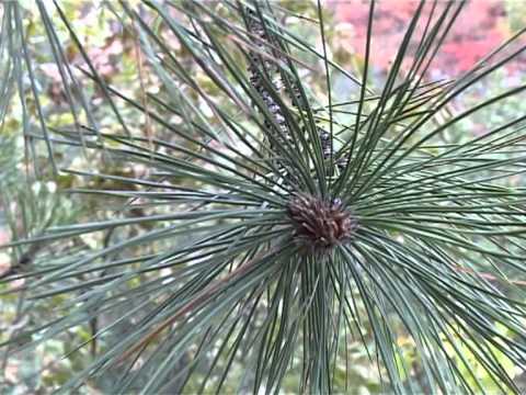 Turism pe Valea Almajului