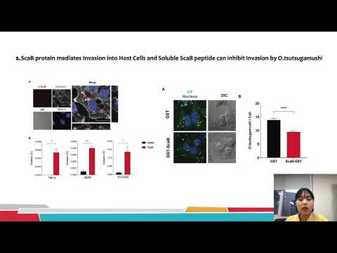2021년 3-4월 우수논문 김채원