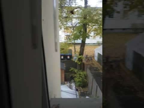 Alte Wohnung Badezimmer ( Berlin )