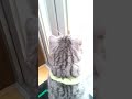 むいむいは お外だよ...