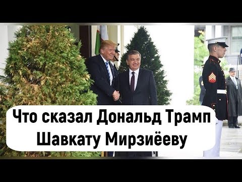 Трамп — Мирзиёеву: для нас большая честь встречать вас в Белом доме