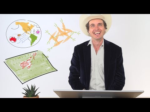 Drawing the Future of Food in America With Kimbal Musk