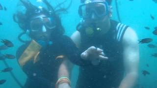 preview picture of video 'Scuba Diving in Malvan'