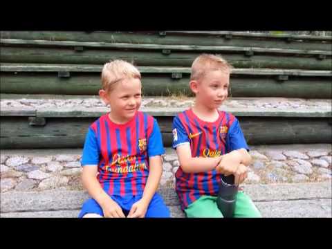 Lohi SiiPe 26 6.2013. Koskenharjulla klo 18.00