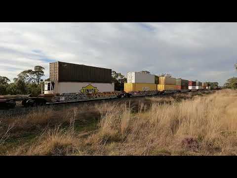 NR29 & NR81 Carlachy Tank NSW.   Thu 25th May 2023