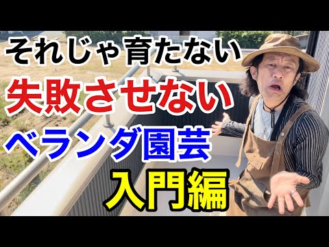 バルコニーの芳香植物 - 自宅でハーブを育てる方法は？  庭園