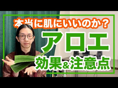 園芸 アロエベラジェルを収穫する