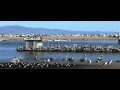 PANAVISION TEST