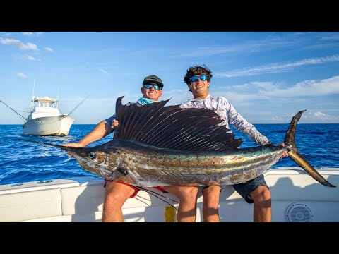NOBODY Eats this fish... Catch Clean Cook (Sailfish)