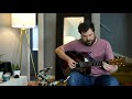 "Skinflint" by Leo Kottke