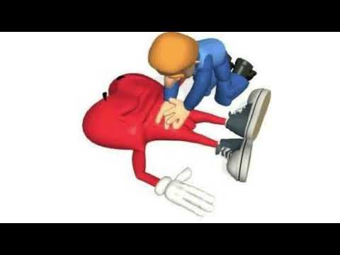 454 + PIGTHEGEMINI - BOSSALINI (REMIX)