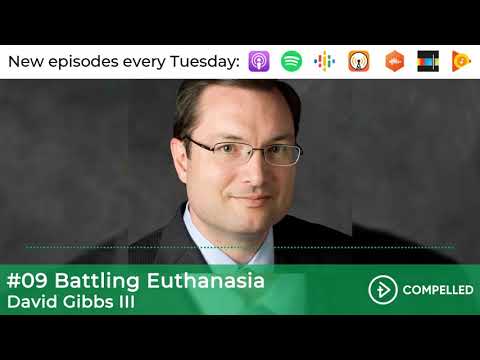 Witness21  2019 07 14