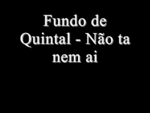 Não ta nem ai video