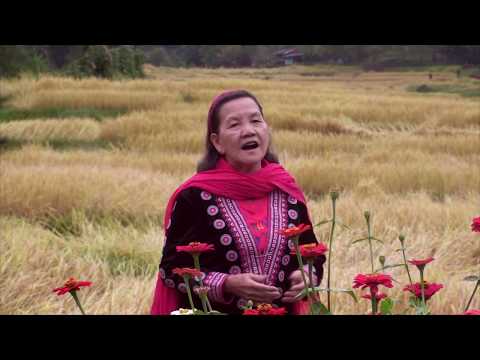 Tsis Txhob Txhawj Txog Tagkis | Nruag Hawj