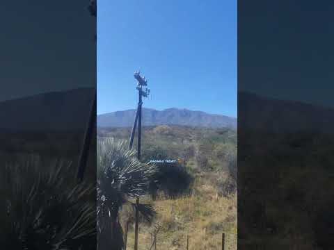 A bordo del coche alerce del tren de las sierras 🚂 rumbo a capilla del monte ⛰️🤩 Córdoba 30/5/26