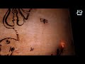 Shiv Tandav Stotram WhatsApp Status