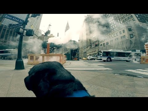 BAUM - «Beggars&Thieves» (Official Video)