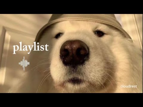 𝐏𝐥𝐚𝐲𝐥𝐢𝐬𝐭 | 이 노래 뭐예요? 첫 소절부터 미쳤,,!! 기분좋은 플리 | 9시간풀버전 | 노동요