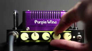 Hotone Purple Wind Amplifier Demo