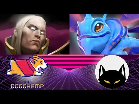 DogChamp vs Wolf Team  (game 2) |  HIGHLIGHTS