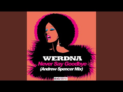 Never Say Goodbye (Andrew Spencer Extended Mix)