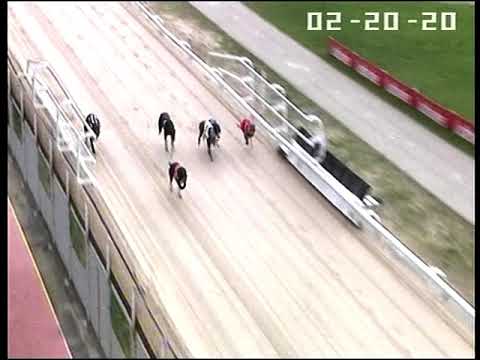 Saturday 20/02/2021 Race 1. LADBROKES GOLDEN JACKET SPRINT