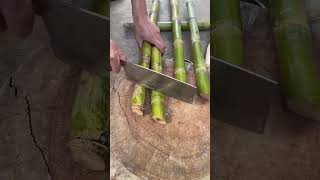 Download lagu #farming #enjoyrurallife #naturerurallife #rurallife #vegetables #garden #rogator #short mp3