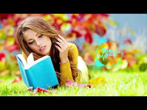 Ruslan Radriges vs Neurofunq & Tiff Lacey - Wonderfull (Extended Mix)