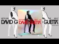 David Guetta Play Hard ft Ne Yo Akon [New Music ...