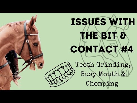 Issues with the Bit & Contact - Teeth Grinding, Busy Mouth & Chomping