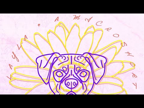 Video $Layla