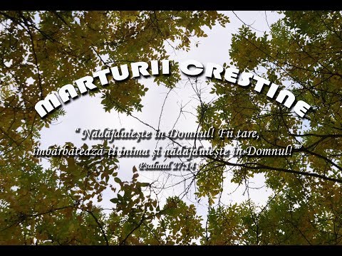 Marturie Stefan Sauleanu - partea  2