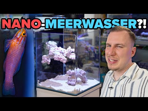Funktionieren NANO-MEERWASSERAQUARIEN? -  Anfänger TUTORIAL!