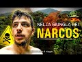 Darién Gap Trip To South America S Most Dangerous Jungle