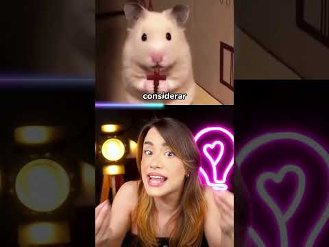 pegadinhas MAIS ABSURDAS