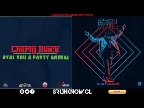 Charly Black vs. Sean Paul ft. Dua Lipa - "Gyal You A Party Animal, No Lie" (Mashup)