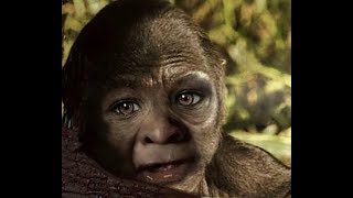 World Bigfoot Radio #31 ~ Hunter helps orphan Bigfoot/Glagg saga pt. 1/Kevin