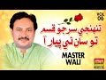 Tuhinje Sirr Jo Qasam Master Wali Album 06 Bahar Gold Production