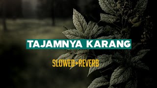 Download lagu TAJAMNYA KARANG | slowed reverb mp3
